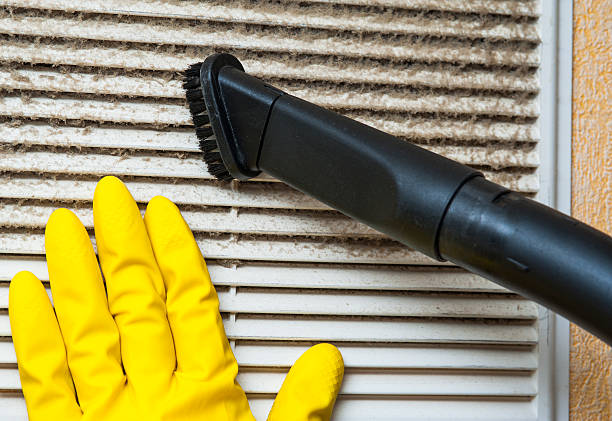 Best Affordable Air Duct Cleaning  in Angustura, NM